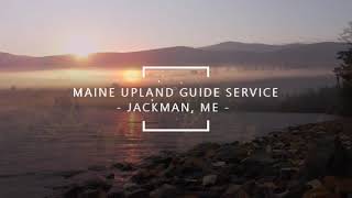 Maine Grouse Hunting - MAINE UPLAND GUIDE SERVICE