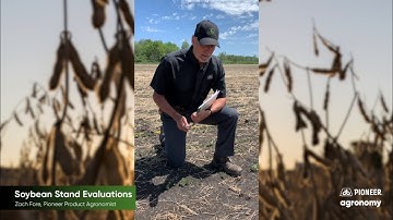 How to Perform Stand Counts