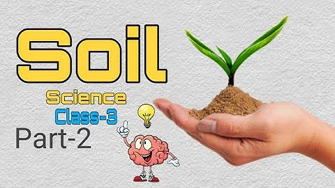 Soil | Part-2 | Science | Class-3