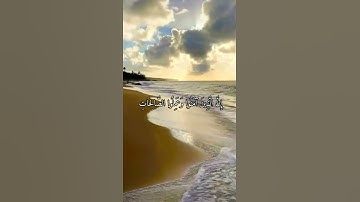 واتس اب قران كريم القارئ سعد الغامدي من سورة (فصلت)
