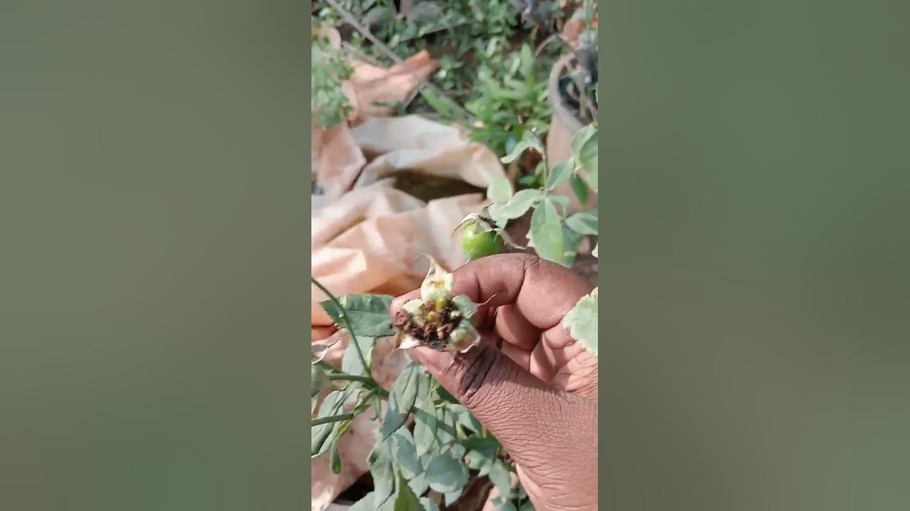26 April 2023 - YouTube