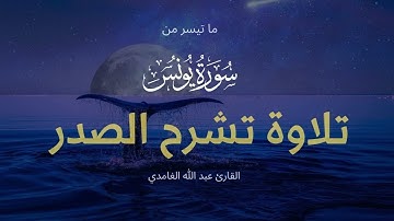 ما تيسر من سورة يونس - تلاوة إبداعية تطمئن القلب - راحة نفسية