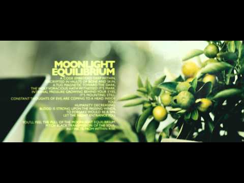 Evergreen + | Tracking Test | Plexus 2