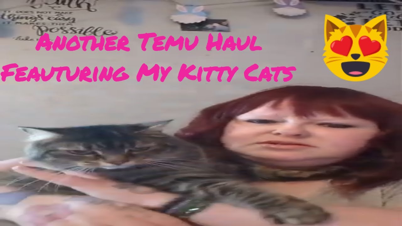 Another Multiple Order Temu Haul Featuring My Cats!! October 5, 2023!! (Not Sponsored)