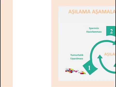 Aşılama (İntrauterin İnseminasyon)  Aşılama Nedir?, Aşılama Kimlere Yapılır?, Aşılama Aşamaları Nelerdir? Aşılama Sonrası Dikkat Edilmesi Gerekenler Nelerdir?