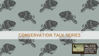 Conservation Talk Series | Beavers: Their Landscapes, Our Future
