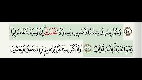 سورة فاطر آية 44