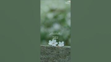 ﴿يا أيها الناس اذكروا نعمت الله عليكم...﴾ [فاطر: ٣] || القارئ سعد الغامدي
