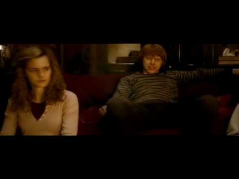 Ron & Hermione - Teenage Dream