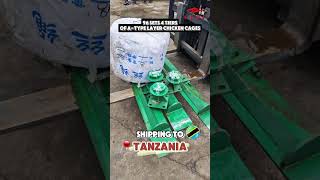 Famous 96 Sets of A-Type 4-Tier Layer Chicken Cages Delivered to Tanzania – Farm Capacity 15,360 Hens Profile