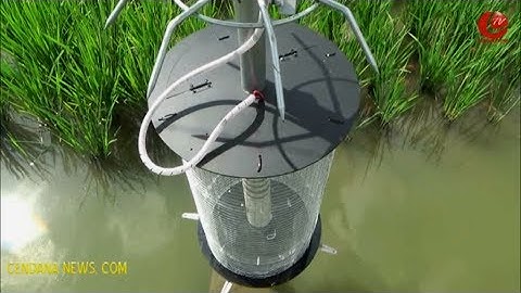 ALAT PERANGKAP SERANGGA ELEKTRIK