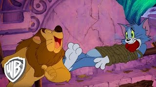 Мульт Tom Jerry Back to Oz King Of The Forest