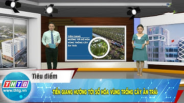Tiền Giang hướng tới số hóa vùng trồng cây ăn trái | THTG