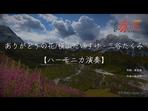 【ハーモニカ演奏】ありがとうの花/横山だいすけ・三谷たくみ