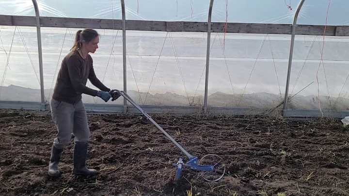 2021 Hoophouse Weed Management