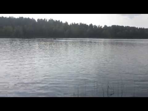 Озеро в Орехово,,Большое Борково,,
