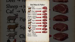 2026 English made easy ~ Meat facts ~ Food knowledge ~ shorts