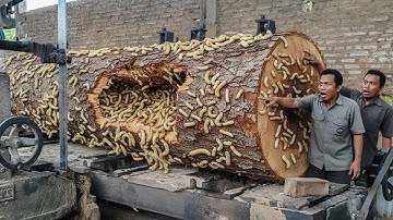 RISKING HIS LIFE!! The Most Dangerous Sawmill Job Cutting a Giant Tree Log