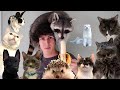 All My Pets In One Video!