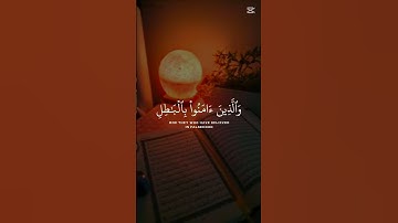 🤲 #القرآن_الكريم #cute تلاوة عطرة من الذكر الحكيم لا حزن يبقى والقرآن يتلى #duet #اكسبلور