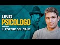 La VIOLENZA PSICOLOGICA ne Il Potere del Cane analizzata da Luca Mazzucchelli | Netflix Italia