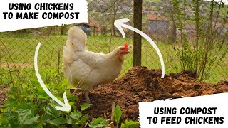 Chickens & Compost: How to feed chickens without grains, and making compost at the same time!