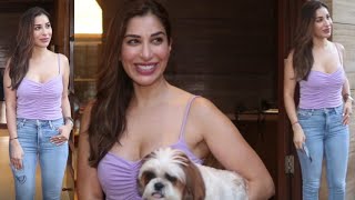 Baapre Sophie Choudry With Her Pet Dog Flaunts Her Cleavage Spotted At Bandra News