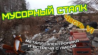 видео: Мусорный сталк (повстречал лису, нашел седло и многое другое) . Часть VI. картинка: Мусорный сталк (повстречал лису, нашел седло и многое другое) . Часть VI.