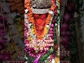 श्री औता महावीर हनुमान जी प्रयागराज जय श्री राम 🙏🚩#bhakti #shortvideo #shorts #trending #reels
