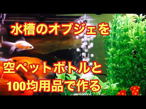 普通の水槽に飽きた方 面白い水槽 Youtube