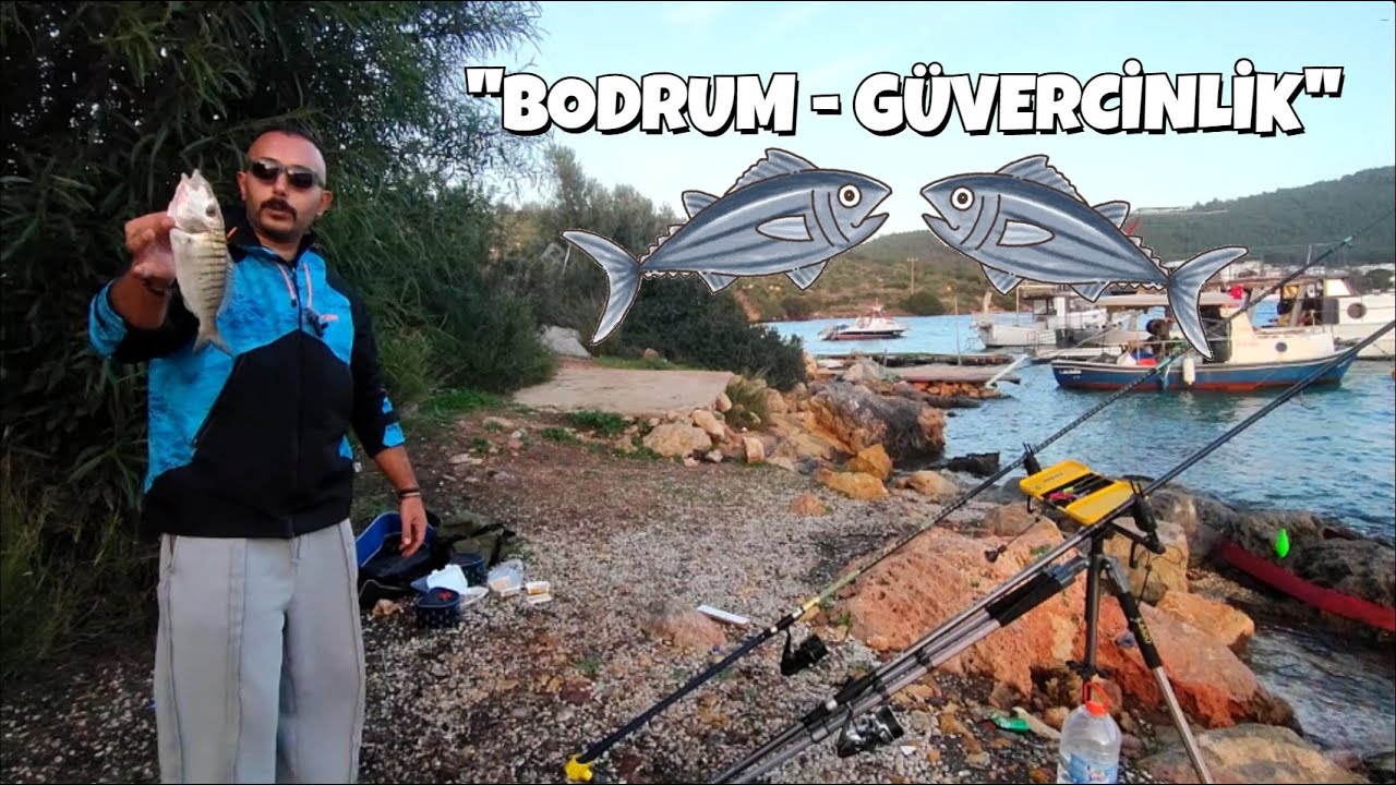 EGENİN İNCİSİ BODRUM'DA BOL AKSİYONLU KIYI AVI !!! #fishing #balıkavı #kıyıdanbalıkavı #levrekavı