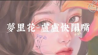 梦里花Meng Li Hua-盧盧快閉嘴Lu Lu Kuai Bi Zui(English translation/pinyin lyrics) Mộng lí Hoa