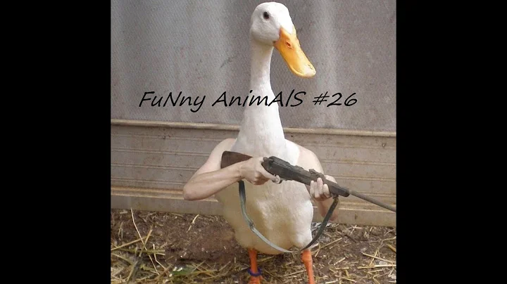 FuNny AniMalS #26 // Смешные видео с животными // Приколы с животными