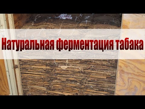 Натуральная ферментация табака. Личный опыт.