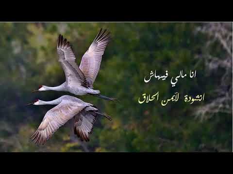 نشيد أنا مالي فيهاش بدون موسيقي