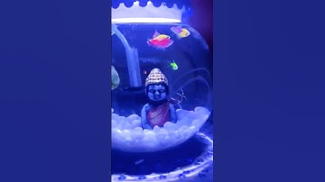 WIDOW TETRA IN FISH BOWL #shorts #youtubeshorts #short #widowtetra #fish #tetrafish  #viral