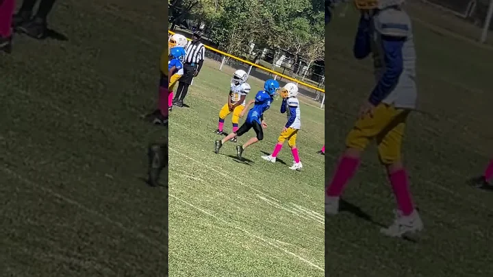 Palatka v West Putnam