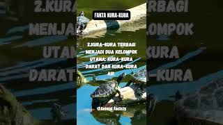 Fakta unik Kura-kura yang sangat jarang diketahui#facts #shorts #subscribe