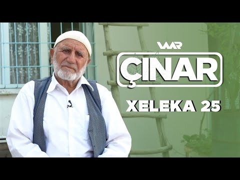    چنار حەجی عەلی