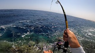 ПОДВОДНАЯ ЛОДКА и ПАРОВОЗ! Рыбалка в Египте на Красном море. Хургада - Сафага