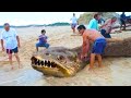 15 Strangest Things Recently Discovered In Brazil