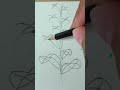 Tutorial cara menggambar tanaman dengan dedaunan #art #drawing #nature #plants #colorpencil