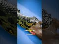 Why Snakes Never Choke 🐍🦴 #didyouknow