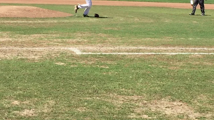 Daniel Setzer LIVE Hitting 2