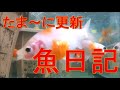 たま~に更新・魚日記