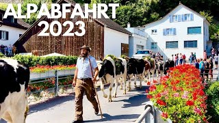 Alpabzug - Alpabfahrt  MELS | Cow Parade Event | Switzerland 27.