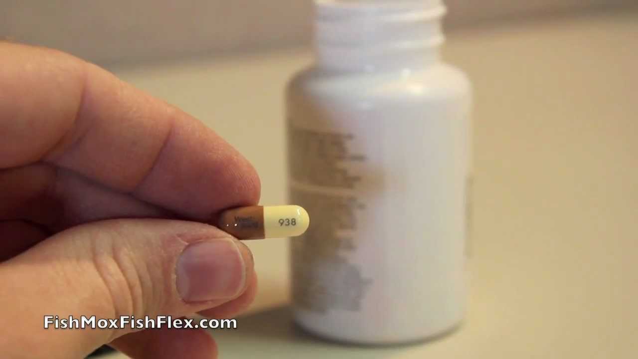 Fish Mox 30 Count Amoxicillin 250 mg Fish Antibiotic - YouTube