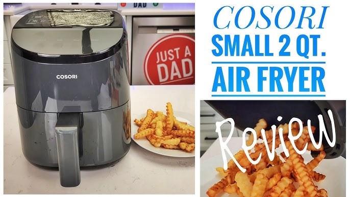 COSORI Smart Air Fryer, Lite 4 QT Compact 7-in-1 Oven, Preheat and Keep  Warm, Voice Control, Dishwasher-Safe, Truffle Gray