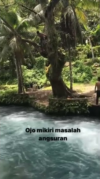 Info Janda Tercecer | Story Wa 30 Detik | Story Wa Terbaru #shorts