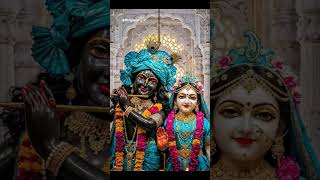 Radhe Radhe 🌼🦚#spirituality #love #divinelife #faith #mostpowerfulmantra